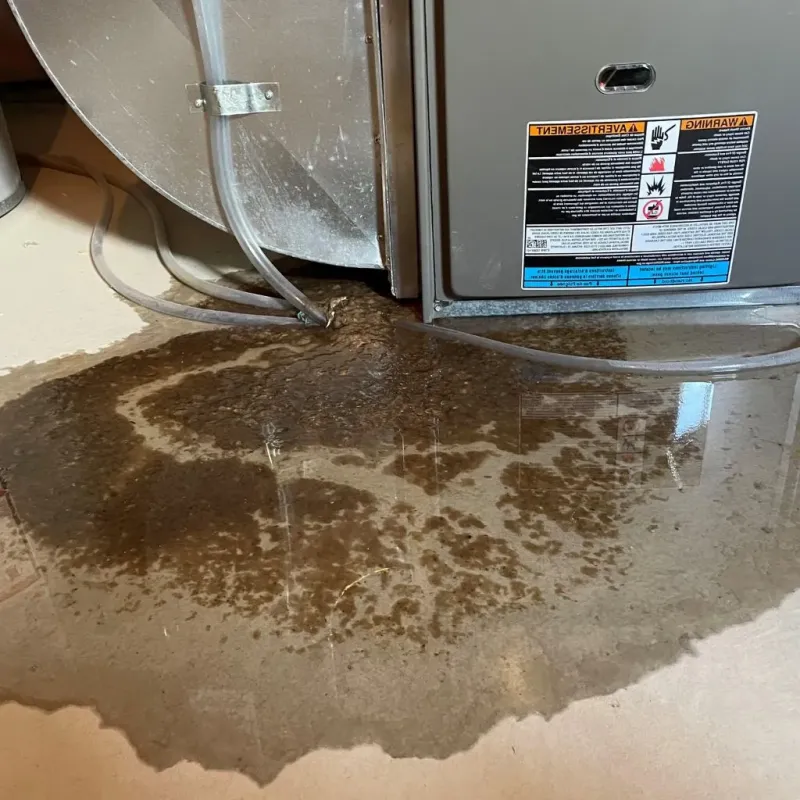 Pipe Burst and Leak Restoration in Sylvan Springs, AL