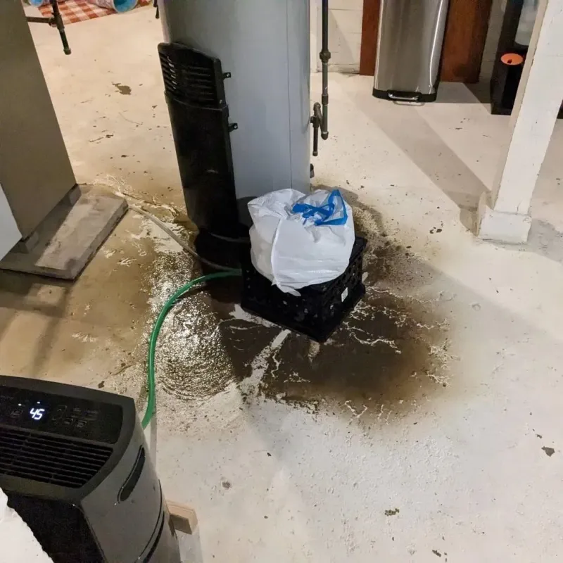 Sewage Backup Cleanup Service in Sylvan Springs, AL